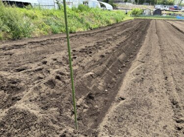 2024年5月21日(火)の作業記録 (里芋の植え付け作業、ミニトマトの鉢植え作業、トラクター耕耘作業、エンジン式刈払機使用中にパーツが外れ部品を紛失)