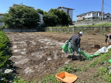 2024年6月12日(水)の作業記録 (小溝で菊芋畝の除草作業、肥料撒きとトラクター耕耘作業)