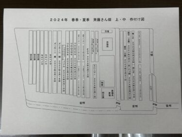 2024年6月21日(金)の作業記録 (枝豆が今季初収穫、畑の作付け図面作り)