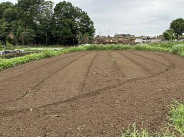 2024年7月1日(月)の作業記録 (吉岡さん畑の山部分をトラクターで耕耘作業、斉藤さんの最下段畑の除草作業、田中さん畑で除草しながら玉ねぎの収穫作業)
