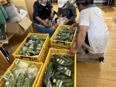 2024年7月8日(月)の作業記録 (そうめんかぼちゃが今季初収穫、長茄子の剪定誘引作業、除草作業)