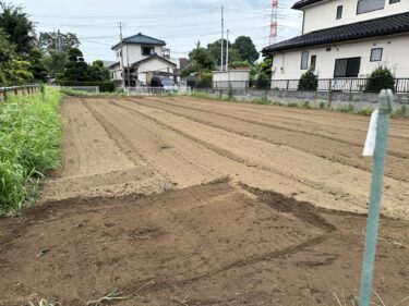 2024年7月10日(水)の作業記録 (除草作業、鈴木さん畑をトラクターで耕耘作業)