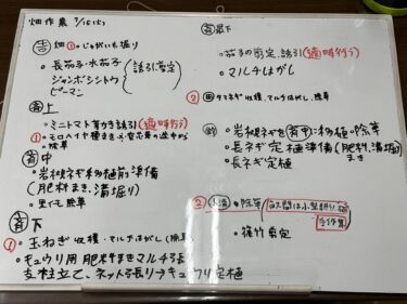 2024年7月12日(金)の作業記録 (午後の畑作業は雨のため中止、収穫と除草作業メイン)