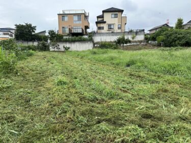2024年7月16日(火)の作業記録 (緑茄子が今季初収穫、除草作業、玉ねぎのマルチ剥がし作業)