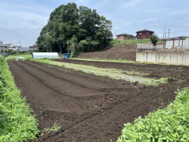 2024年7月17日(水)の作業記録 (オクラが今季初収穫、空きスペースをトラクターで耕耘作業、除草作業、ジャガイモの選別作業)