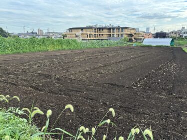 2024年7月19日(金)の作業記録 (モロヘイヤが今季初収穫、ネギ剪葉機のプライマリーポンプ交換作業、玉ねぎ畝周りの除草作業、トラクター耕耘作業)