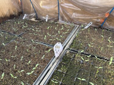 2025年2月6日(木)の作業記録 (午前中のみの畑作業、午後は畑作業ミーティング)
