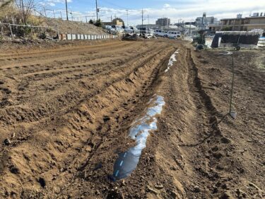 2025年2月20日(木)の作業記録 (ジャガイモの溝掘り作業)