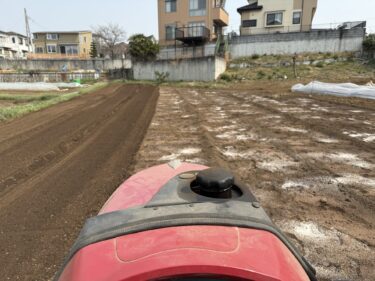 2025年3月26日(水)の作業記録 (ミニトマト・ズッキーニ・ゴルゴビーツの播種作業、除草作業)