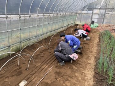 2025年4月3日(木)の作業記録 (長ネギの播種作業)