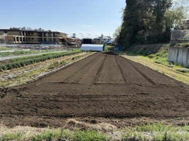 2025年4月9日(水)の作業記録 (ハンマーナイフモアの刈り刃の交換作業、菜花畝・カブ畝をハンマーナイフを使い粉砕撤去作業、菜花・カブの跡地を中心にトラクター耕耘作業、ラディッシュの播種作業、ブロッコリー類のマルチ剥がしと撤去作業)