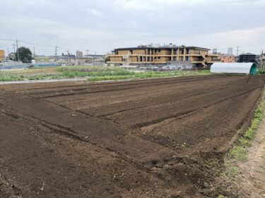 2025年4月10日(木)の作業記録 (わさび菜とブロッコリー類の撤去作業、成平インゲンと秋キュウリ畝用の肥料撒きトラクター耕耘作業)