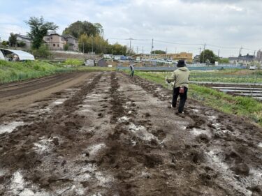 2025年4月24日(木)の作業記録 (南瓜類の播種作業、万能茄子とズッキーニと枝豆用に肥料撒きとトラクター耕耘作業)