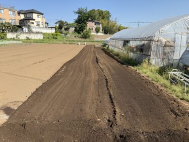 2025年4月30日(水)の作業記録 (玉ねぎ・ジャガイモの除草作業、ニラ植え替え予定地とズッキーニ第二弾予定地に肥料またを撒いてトラクター耕耘作業)