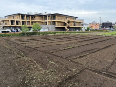 2025年6月9日(月)の作業記録 (斉藤さんの最下段畑マルチ剥がし作業、斉藤さんの最下段畑をトラクターで耕耘作業、ニンニク・玉ねぎ等の根切り葉切り作業)