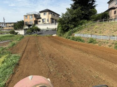 2025年7月1日(火)の作業記録 (収穫作業メイン、除草作業、田中さんの上の畑を全体的にトラクターで耕耘作業)