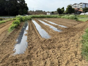 2025年7月3日(木)の作業記録 (吉岡さん畑の山部分に肥料を撒いてトラクター耕耘作業、マルチ張り作業)