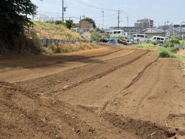 2025年8月6日(水)の作業記録 (モロヘイヤの追肥除草作業、田中さんの上の畑をトラクターで耕耘作業、収穫は作業所内で販売分のみ収穫しました、秋冬野菜の種を購入)