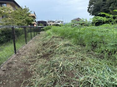 2025年8月12日(火)の作業記録 (緑茄子・ピーマンの追肥作業、除草作業、玉ねぎの選別作業)