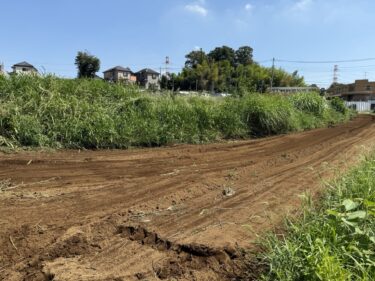2025年9月8日(月)の作業記録 (AM時間帯のみの作業、除草作業等)
