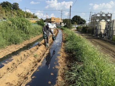 2025年9月16日(火)の作業記録 (長ネギ周りの除草作業、青首大根用のマルチ張り作業、青首大根の播種作業、秋取りズッキーニの定植作業)