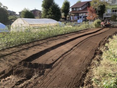 2025年10月30日(木)の作業記録 (青首大根の追肥作業、ジャガイモに寒さ対策用のネット張り作業、モロヘイヤとさつま芋の跡地に鶏糞を撒きトラクターで耕耘作業、チンゲンサイの播種作業、枝豆跡地のマルチ剥がし作業)