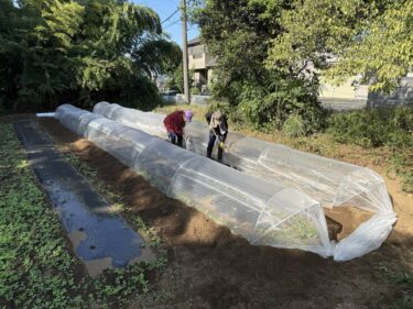 2025年10月8日(水)の作業記録 (スティックブロッコリーの防虫ネット張り作業、斉藤さんの下の畑の除草作業、トラクター耕耘等)