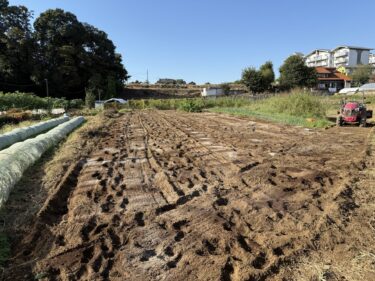 2025年10月23日(木)の作業記録 (モロヘイヤ・空芯菜の撤去作業、田中さんの下の畑でマルチ剥がし作業、吉岡さん畑をトラクターで耕耘作業)
