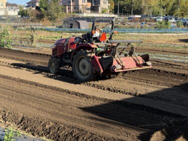 2025年11月17日(月)の作業記録 (キュウリ・ツルムラサキの撤去作業、マルチ剥がし、トラクター耕耘作業、除草作業)