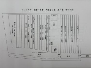 2025年12月4日(木)の作業記録 (オクラの残渣処理等)