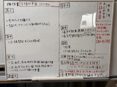 2025年12月17日(水)の作業記録 (午後のみの作業、室内で作付け図面作り、玉ねぎの定植・補植作業)