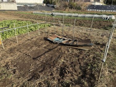 2026年1月8日(木)の作業記録 (堆肥置き場作り、剥がれたマルチの直し作業)