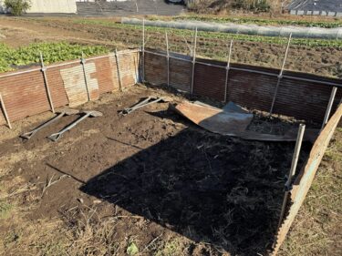 2026年1月9日(金)の作業記録 (堆肥置き場作り、ビニールトンネルシートの汚れ落とし作業、モロヘイヤの莢取り作業)