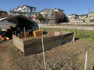2026年1月13日(火)の作業記録 (大根のビニールトンネル剥がれ直し、ブロッコリーの防虫ネット張り作業、堆肥置き場作り、吉岡さん畑をトラクターで耕耘作業)