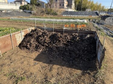 2026年1月16日(金)の作業記録 (踏み込み温床の堆肥を堆肥置き場に移動作業、ビニールトンネルの清掃作業)