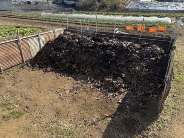 2026年1月17日(土)の作業記録 (午前中のみの作業、丸系八つ頭を穴に埋めて保管する作業、踏み込み温床の堆肥移動作業、収納ケース類の名前ラベル貼り作業)