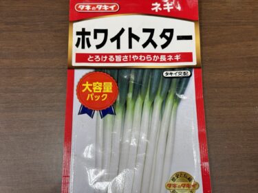 2026年1月19日(月)の作業記録 (踏み込み温床の堆肥移動作業、長ネギの播種作業)