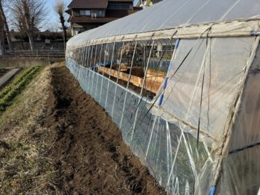 2026年1月27日(火)の作業記録 (踏み込み温床用の落ち葉拾い、斉藤さん畑のビニールハウスの腰巻ビニール交換作業)