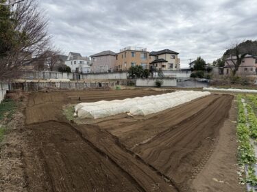 2026年1月28日(水)の作業記録 (AM時間帯のみの作業、トラクター耕耘作業、踏み込み温床用の落ち葉拾い作業)