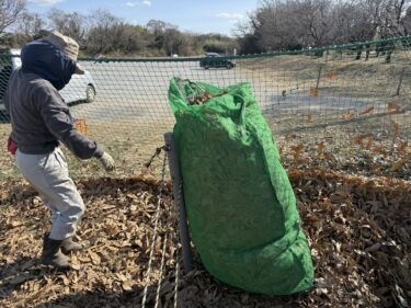2026年1月30日(金)の作業記録 (踏み込み温床用の落ち葉回収作業)