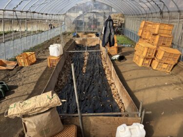 2026年2月4日(水)の作業記録 (午前中のみの作業、踏み込み温床作り作業、春季・夏季の種購入作業)