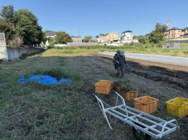 2026年9月24日(木)の作業記録 (斉藤さんの下の畑の除草作業とマルチ剥がし作業)