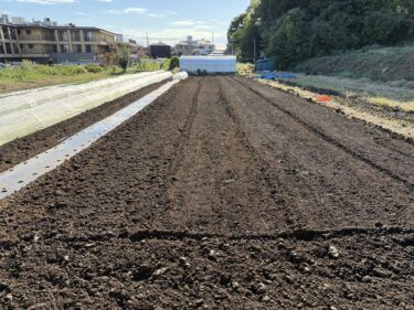 2026年10月7日(水)の作業記録 (玉ねぎの播種作業、田中さんの上の畑の除草作業、斉藤さんの下の畑に鶏糞と有機石灰を撒いてトラクターで耕耘作業、斉藤さんの下の畑で大根用のマルチ張り作業)